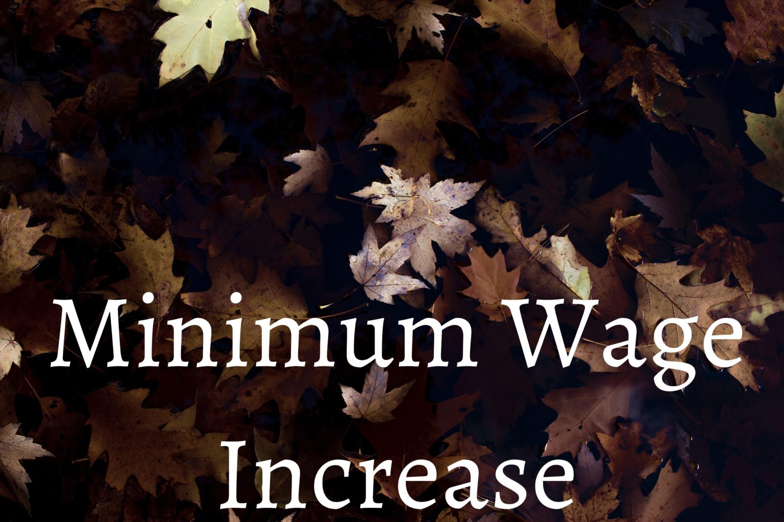 minimum-wage-increase-in-ontario